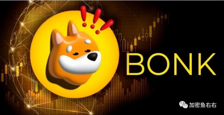 Bonk (BONK)24小时内价格暴涨近100%！为什么BONK成为炒作的焦点？