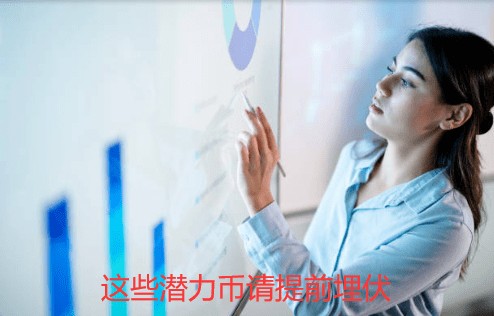 2024年，真正的100倍币，只有这6种